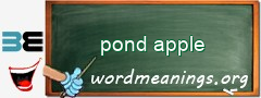 WordMeaning blackboard for pond apple
